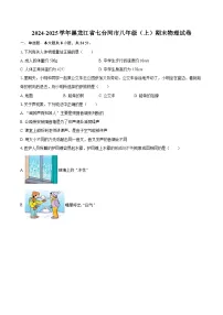 2024-2025学年黑龙江省七台河市八年级（上）期末物理试卷-自定义类型