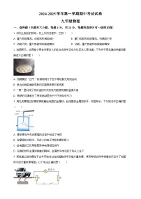 甘肃省金昌市永昌县九年级上学期11月期中考试物理试题(原卷版)-A4