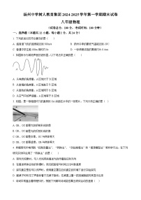 精品解析：江苏省扬州市树人集团2024-2025学年八年级上学期期末物理试题