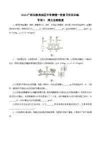 2026广西壮族自治区中考物理一轮复习优化训练-专项9　浮力法测密度（含答案）