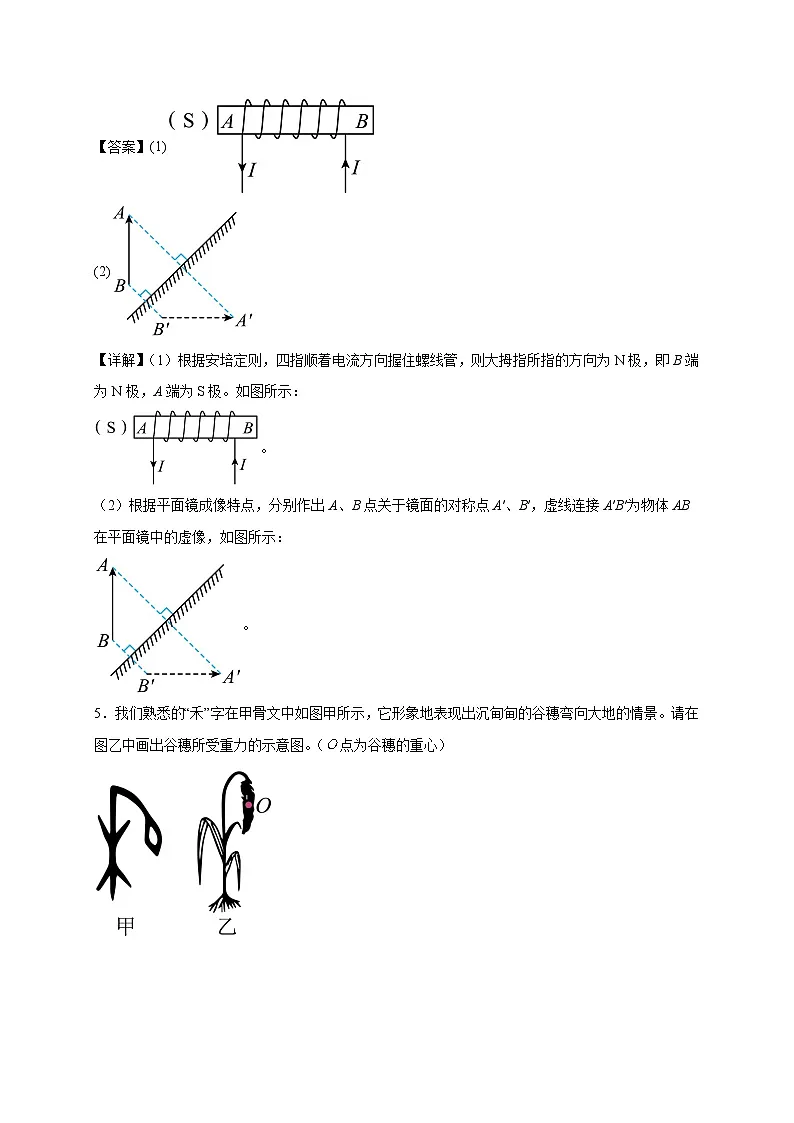 作图题30道(解析版)第3页