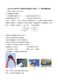 2025-2026学年辽宁省沈阳市法库县九年级（上）期末物理试卷-自定义类型