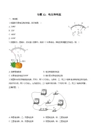 2025年中考物理第一轮复习专题复习专题12:电压和电阻练习 (含答案+解析)