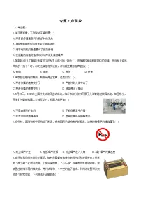 2025年山东省中考物理第一轮专题复习专题2 声现象练习 （含答案+解析）