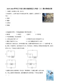 2025-2026学年辽宁省大连市高新园区九年级（上）期末物理试卷-自定义类型