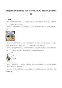 2025-2026学年安徽省淮南市西部地区八年级上学期12月月考物理试卷（有答案）