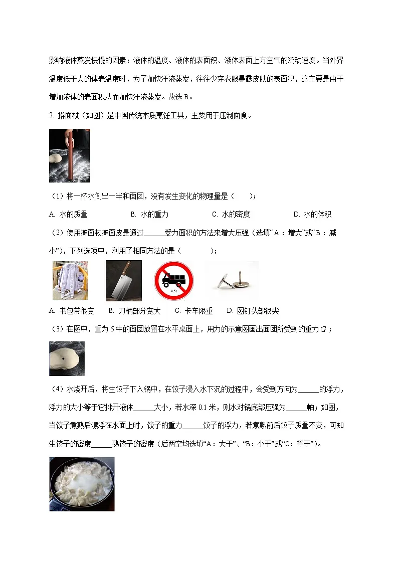 上海市田林第三中学2025—2026学年九年级上册12月月考物理试题【附解析】第2页