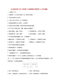 四川省泸州市江阳区分水岭学校等三校联考2025—2026学年九年级上册12月月考物理试题【附答案】