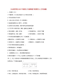 四川省泸州市江阳区分水岭学校等三校联考2025—2026学年九年级上册12月月考物理试题【附答案】