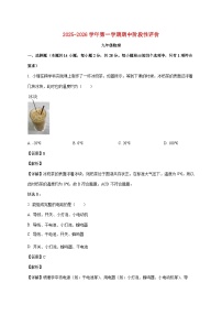 福建省漳州市龙海一中2025-2026学年九年级上学期期中物理试题（附答案）