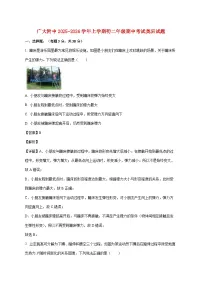 广东省广州大学附属中学2025-2026学年八年级上学期奥班期中物理试题（附解析）