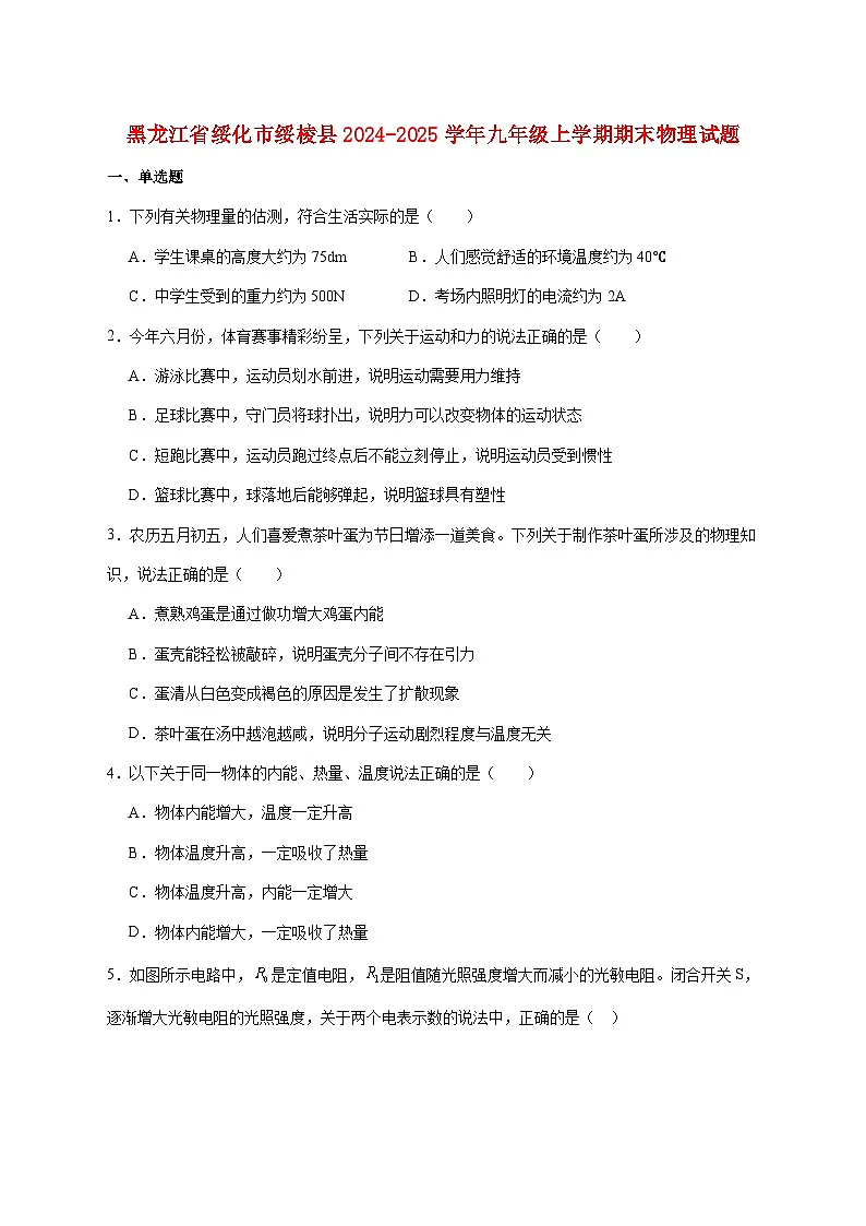 黑龙江省绥化市绥棱县(五四学制)2025届九年级上学期1月期末考试物理试题(附答案)第1页