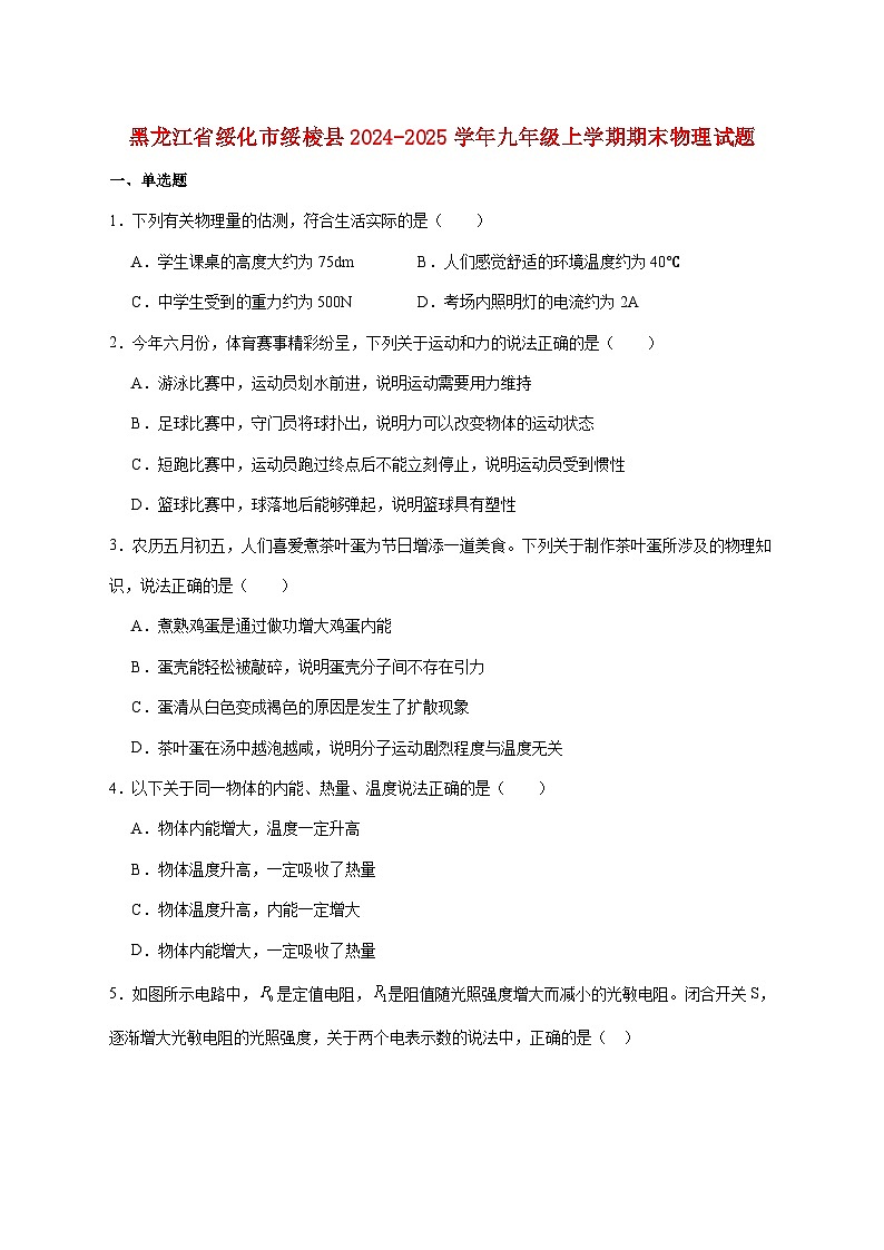 黑龙江省绥化市绥棱县(五四学制)2025届九年级上学期1月期末考试物理试题(附答案)第1页
