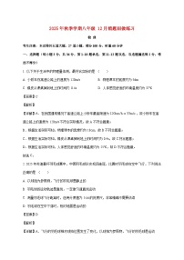湖南省长沙市雅礼集团部分学校2025-2026学年八年级上学期（12月）月考物理试题（附解析）