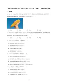 湖南省邵阳市邵东市2025~2026学年八年级上册11月期中考试物理试卷（含答案）