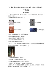 2024-2025学年广东省湛江市雷州市九年级下学期开学考试物理试卷（学生版）