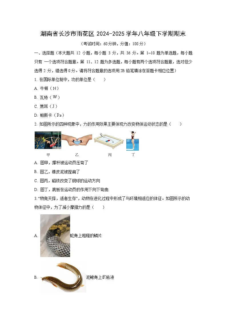 2024-2025学年湖南省长沙市雨花区八年级下学期期末考试物理试卷(学生版)第1页