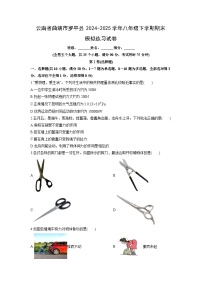 2024-2025学年云南省曲靖市罗平县八年级下学期期末模拟练习物理试卷（学生版）