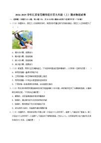 2024-2025学年江苏省无锡市经开区九年级（上）期末物理试卷(含详细答案解析)