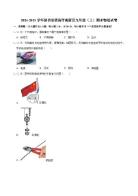 2024-2025学年陕西省渭南市高新区九年级（上）期末物理试卷(含详细答案解析)