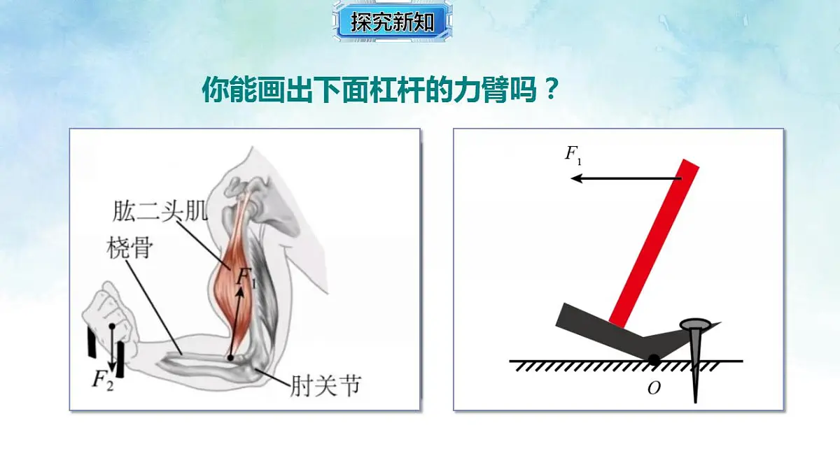 17843022第8页