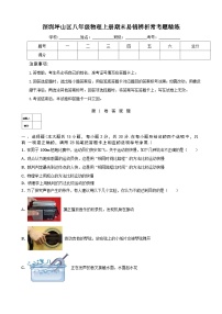 深圳坪山区八年级物理上册期末易错辨析常考题精练及答案解析