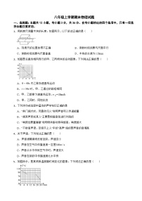 湖南省衡阳市蒸湘区2025年八年级上学期期末物理试题附答案