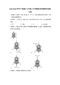 2025-2026学年广东湛江九年级上学期开学摸底考试物理练习卷【含解析】