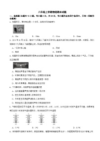 广东省深圳市龙华区2025年八年级上学期物理期末试题附答案