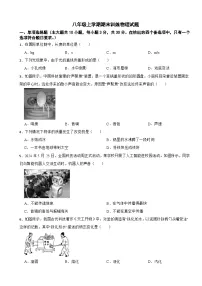 广西玉林市2025年八年级上学期期末训练物理试题附答案