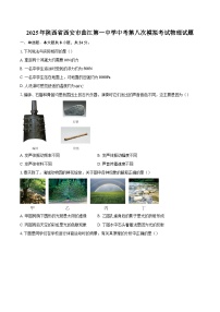 2025年陕西省西安市曲江第一中学中考第八次模拟考试物理试题-自定义类型
