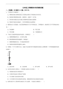 四川省绵阳市涪城区2025年九年级上学期期末考试物理试题及答案