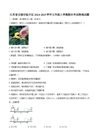 江苏省无锡市经开区2024-2025学年九年级上学期期末考试物理试题-自定义类型