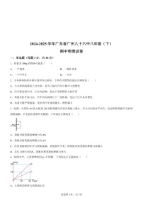 广东省广州市第八十六中学2024-2025学年八年级下学期期中物理试题（含答案）