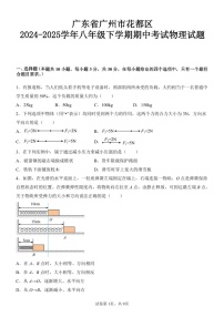 广东省广州市花都区2024-2025学年八年级下学期期中考试物理试题（含答案）