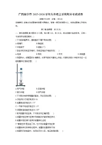 2025-2026学年广西南宁市九年级上学期期末考试物理试卷（学生版）