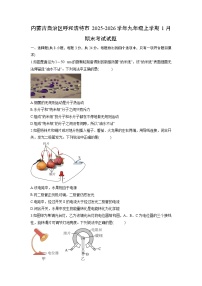 2025-2026学年内蒙古自治区呼和浩特市九年级上学期1月期末考试物理试卷（学生版）