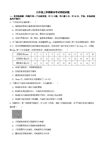 四川省资阳市2025年九年级上学期期末考试物理试题附答案