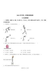 广东省广州市海珠区2024-2025学年八年级下学期期末物理试题（含答案）