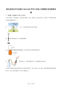 2024-2025学年湖北省武汉市市东新区九年级上学期期末考试物理试题（含答案）