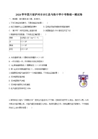 2026学年四川省泸州市合江县马街中学中考物理一模试卷-自定义类型