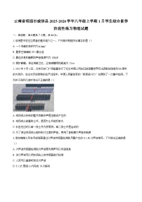 云南省昭通市威信县2025-2026学年八年级上学期1月学生综合素养阶段性练习物理试题-自定义类型