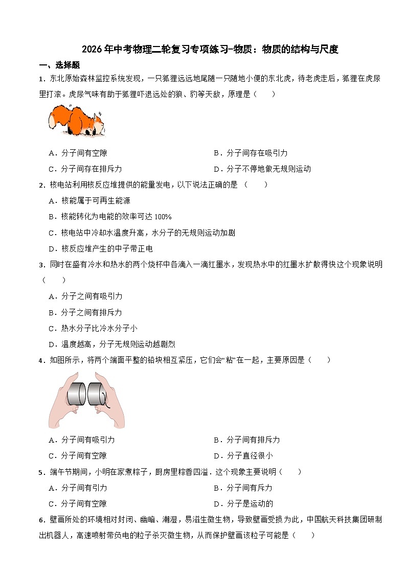 2026年中考物理二轮复习专项练习-物质:物质的结构与尺度第1页