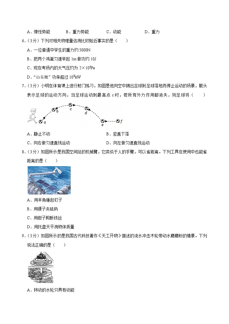 2024-2025学年山东省泰安市肥城市八年级(下)期末物理试卷(含答案)第2页