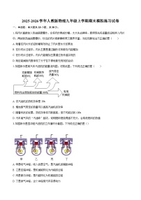2025-2026学年人教版物理九年级上学期期末模拟练习试卷-自定义类型
