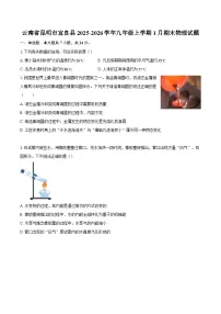 云南省昆明市宜良县2025-2026学年九年级上学期1月期末物理试题-自定义类型