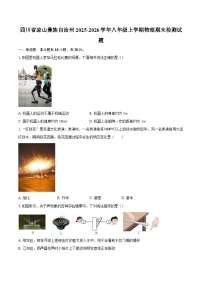 四川省凉山彝族自治州2025-2026学年八年级上学期物理期末检测试题-自定义类型