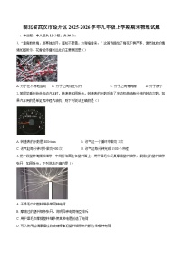 湖北省武汉市经开区2025-2026学年九年级上学期期末物理试题-自定义类型