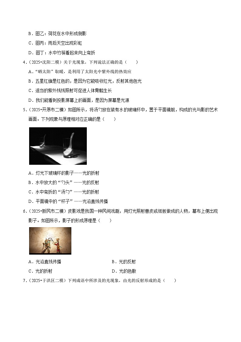 2025年辽宁省中考物理模拟试题分类精选4光现象(1)(Word版附解析)第2页
