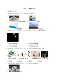 2025年福建各地市中考物理模拟题分类精选考点3  光的世界（Word版附解析）